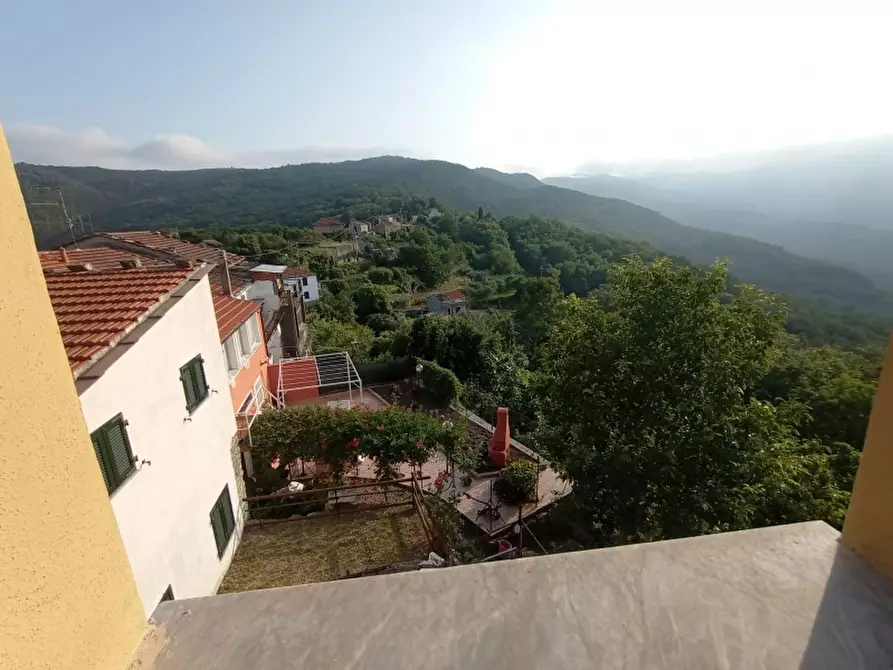 Immagine 5 di Appartamento in vendita  a Lucinasco