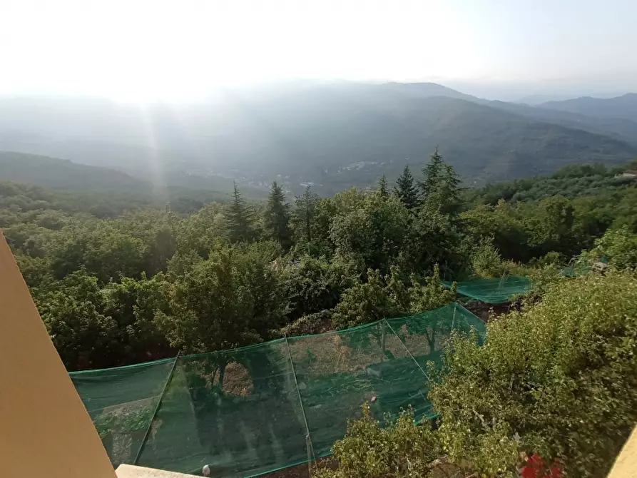 Immagine 7 di Appartamento in vendita  a Lucinasco