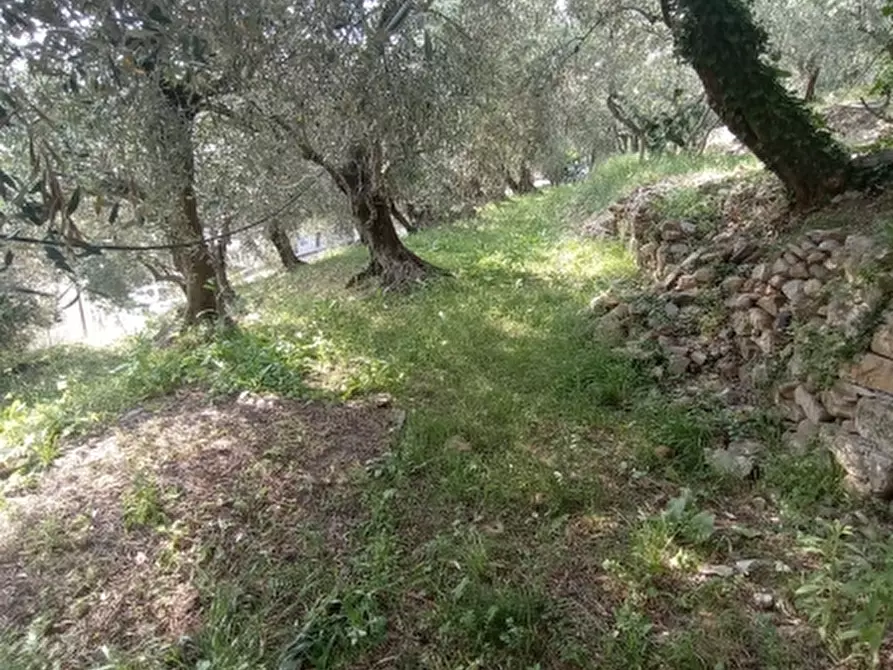 Immagine 15 di Casa indipendente in vendita  a Imperia