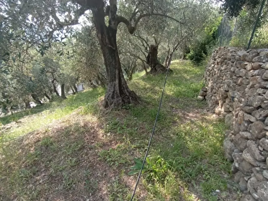 Immagine 16 di Casa indipendente in vendita  a Imperia