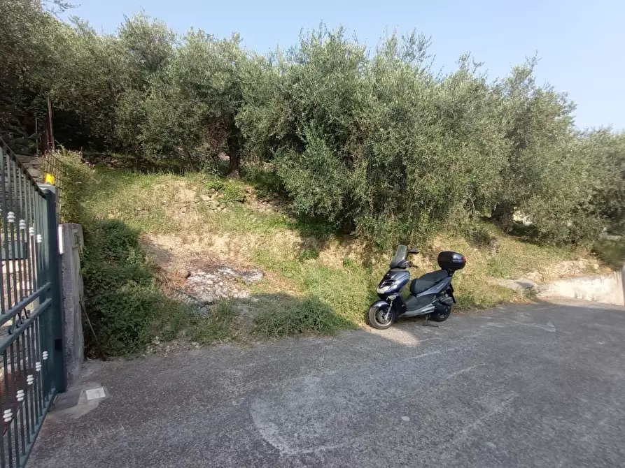 Immagine 18 di Casa indipendente in vendita  a Imperia