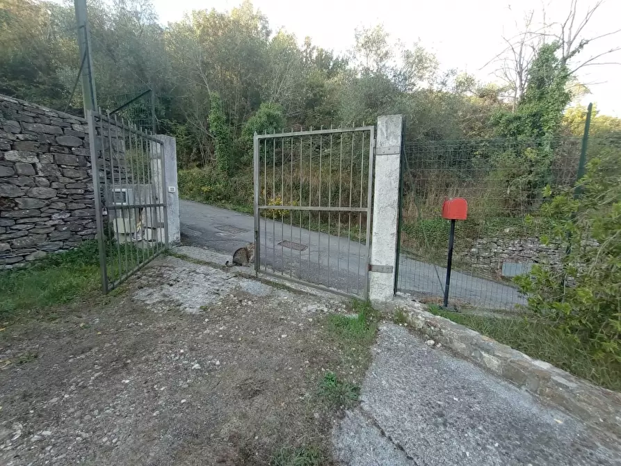 Immagine 3 di Casa indipendente in vendita  a Lucinasco