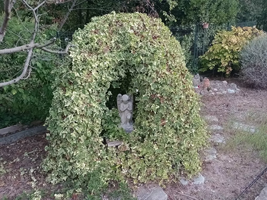 Immagine 16 di Casa indipendente in vendita  a Lucinasco