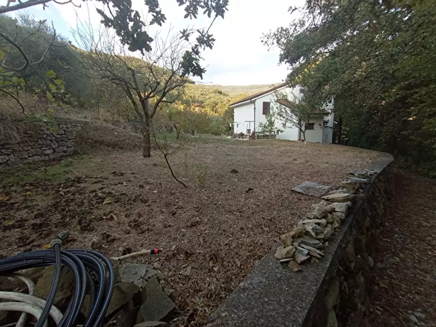 Immagine 19 di Casa indipendente in vendita  a Lucinasco