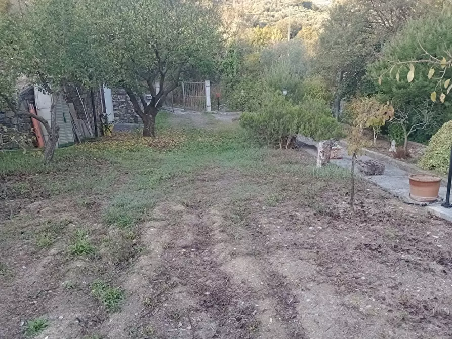 Immagine 21 di Casa indipendente in vendita  a Lucinasco