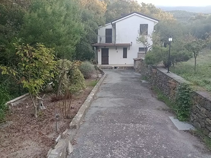 Immagine 4 di Casa indipendente in vendita  a Lucinasco