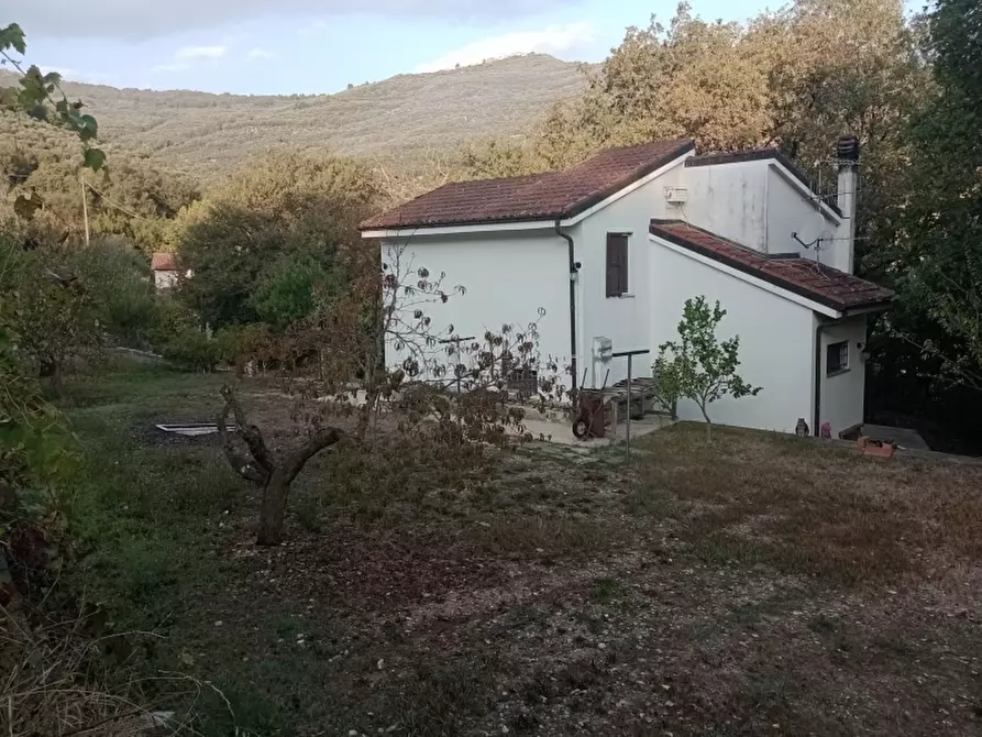 Immagine 5 di Casa indipendente in vendita  a Lucinasco