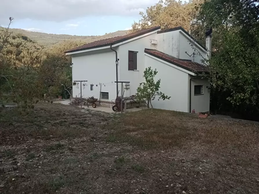 Immagine 1 di Casa indipendente in vendita  a Lucinasco