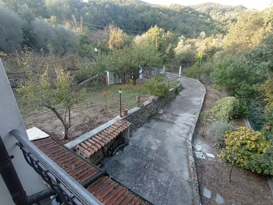 Immagine 12 di Casa indipendente in vendita  a Lucinasco