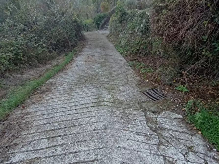 Immagine 11 di Casa semindipendente in vendita  in BORGATA CASE MOLINI a Lucinasco