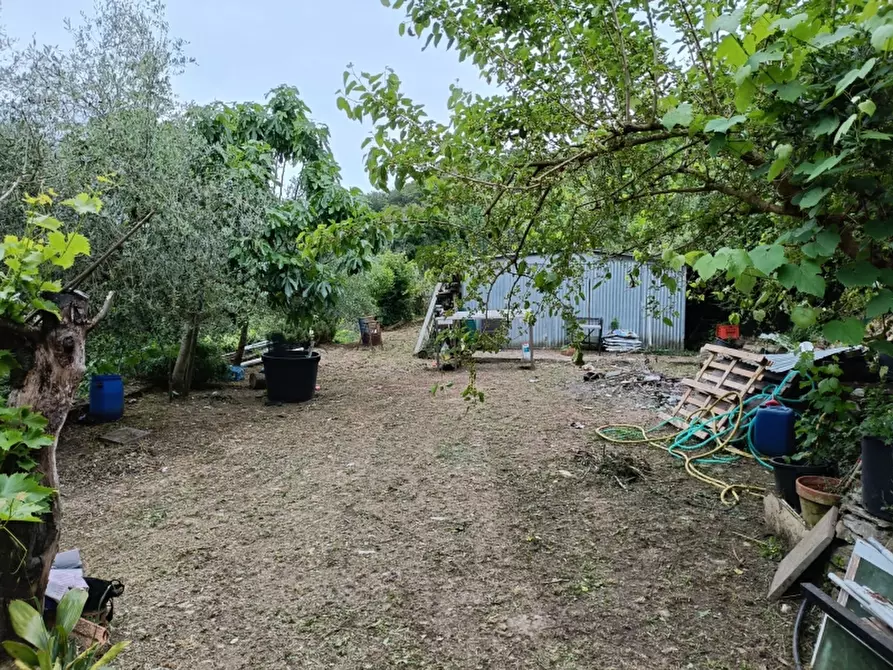 Immagine 12 di Casa semindipendente in vendita  in BORGATA CASE MOLINI a Lucinasco