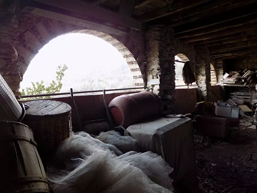 Immagine 5 di Rustico / casale in vendita  a Borgomaro