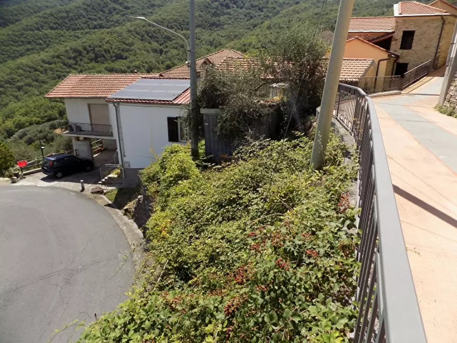 Immagine 3 di Rustico / casale in vendita  a Borgomaro