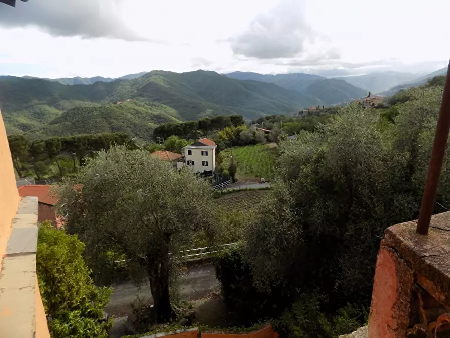 Immagine 18 di Rustico / casale in vendita  a Villanova D'albenga
