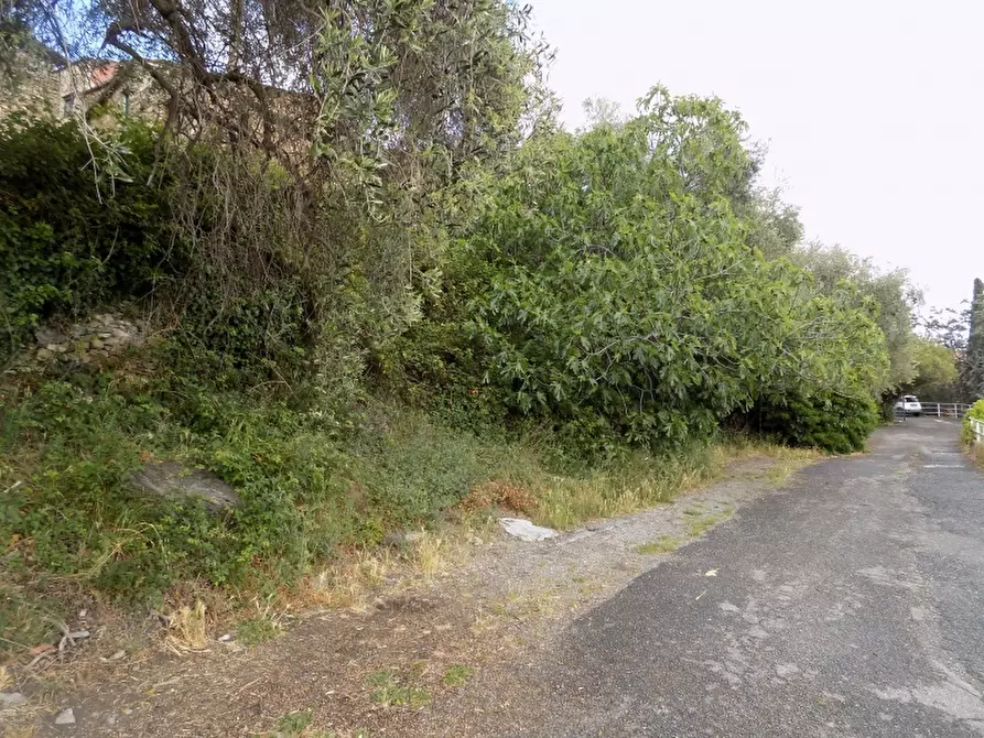 Immagine 6 di Rustico / casale in vendita  a Villanova D'albenga