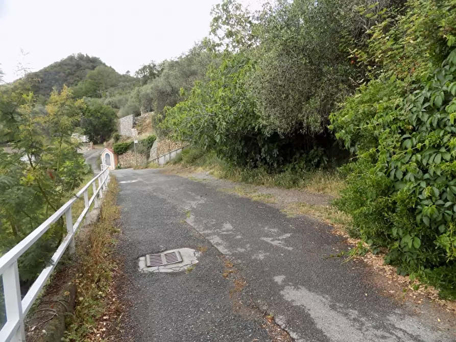 Immagine 7 di Rustico / casale in vendita  a Villanova D'albenga