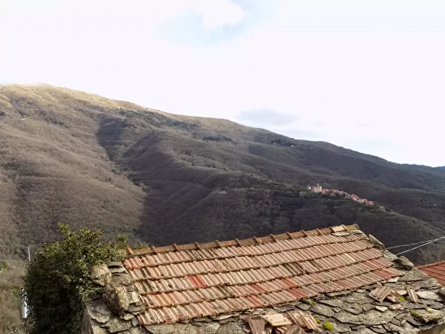Immagine 11 di Casa semindipendente in vendita  a Borgomaro