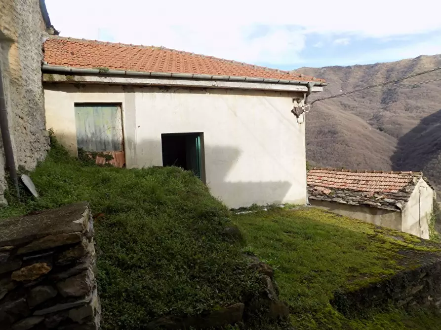 Immagine 4 di Casa semindipendente in vendita  a Borgomaro