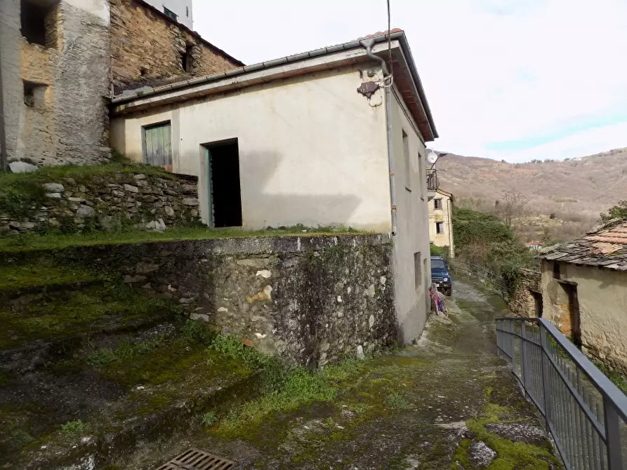 Immagine 1 di Casa semindipendente in vendita  a Borgomaro