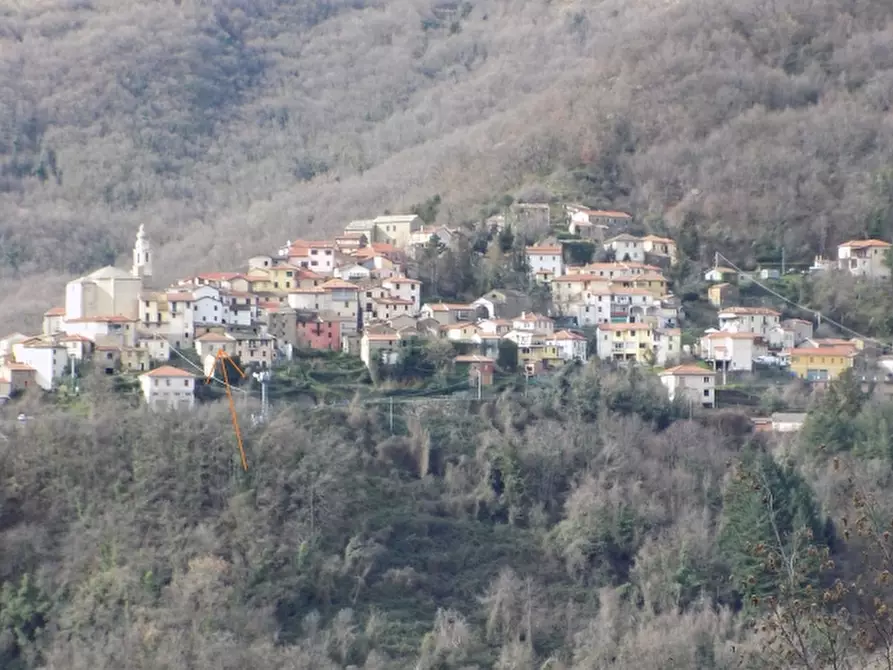 Immagine 10 di Casa semindipendente in vendita  a Borgomaro