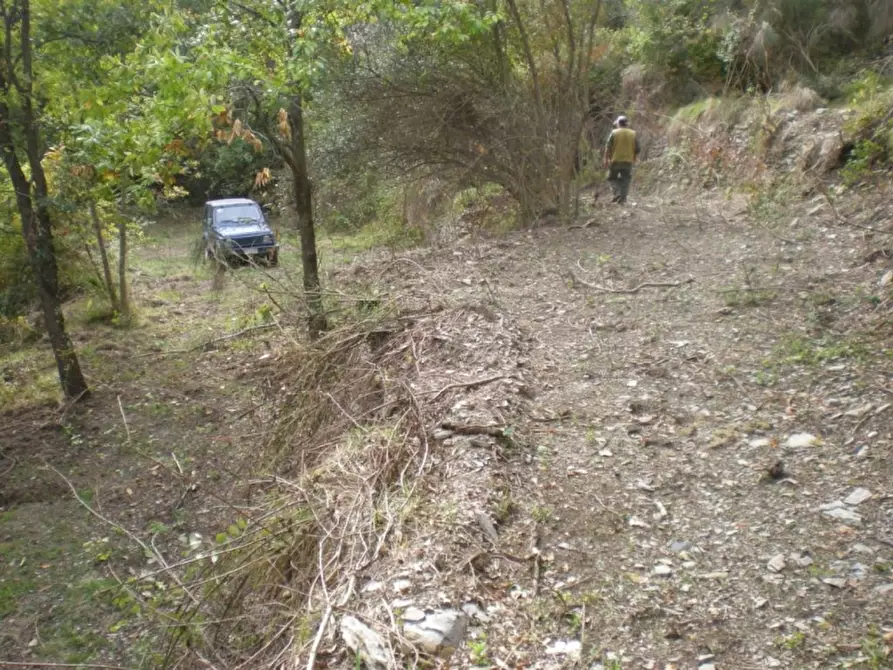 Immagine 5 di Rustico / casale in vendita  a Vessalico