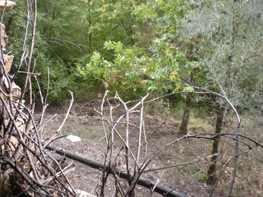 Immagine 6 di Rustico / casale in vendita  a Vessalico