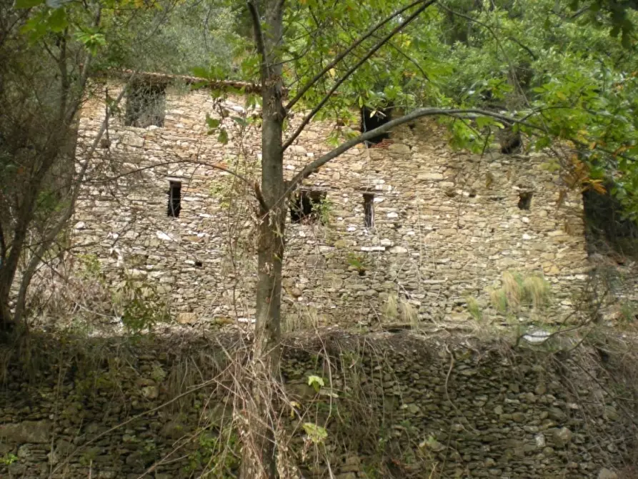 Immagine 1 di Rustico / casale in vendita  a Vessalico