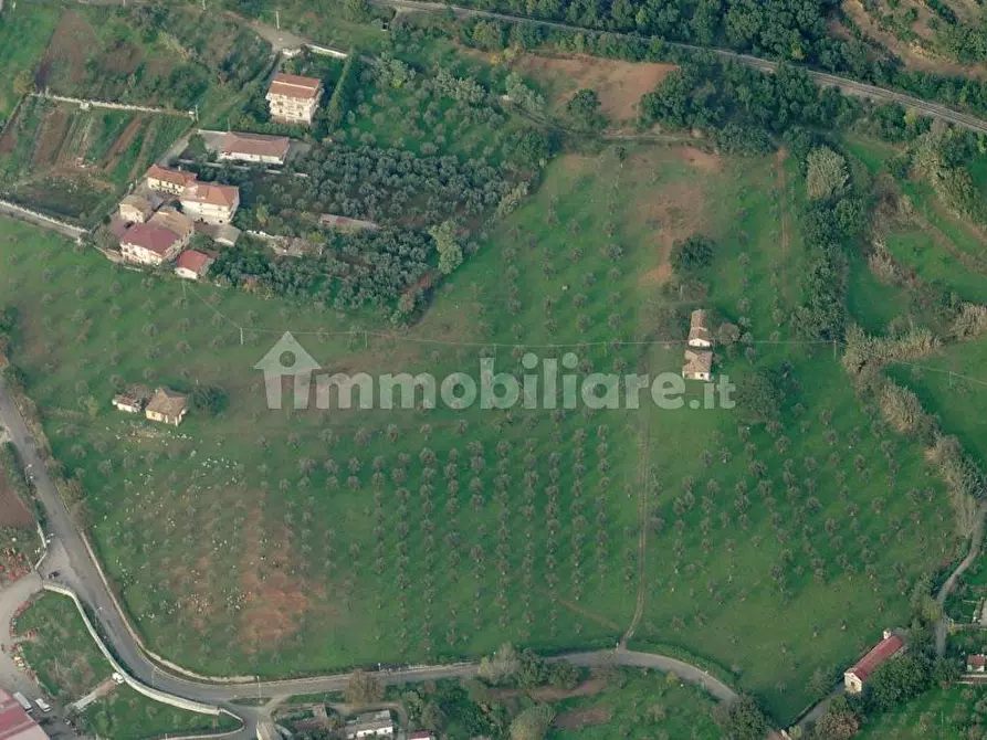 Immagine 10 di Terreno agricolo in vendita  in Via Monsignor Azio Davoli 11 a Lamezia Terme