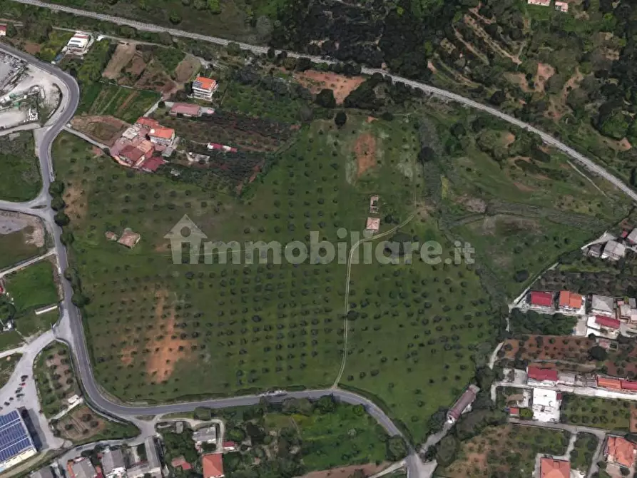 Immagine 11 di Terreno agricolo in vendita  in Via Monsignor Azio Davoli 11 a Lamezia Terme
