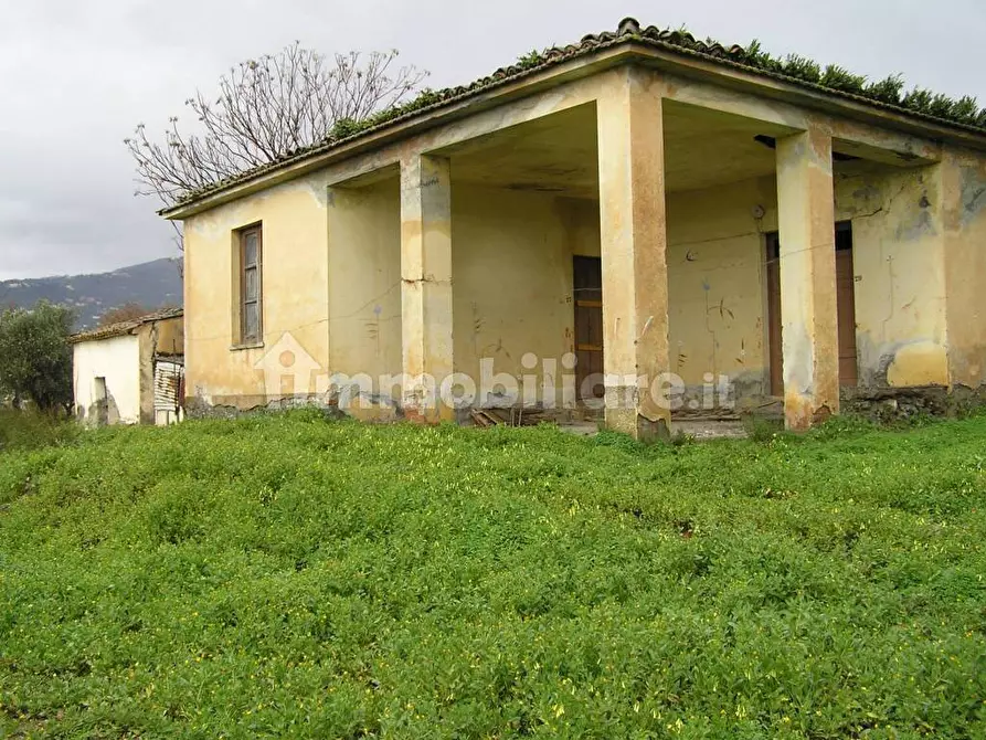 Immagine 3 di Terreno agricolo in vendita  in Via Monsignor Azio Davoli 11 a Lamezia Terme