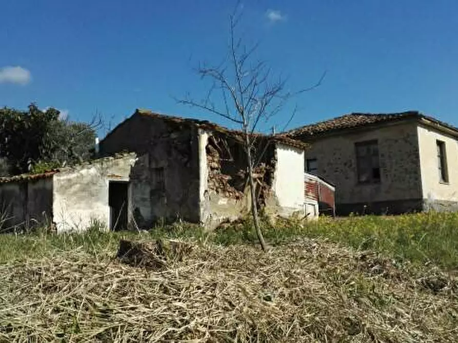 Immagine 5 di Terreno agricolo in vendita  in Via Monsignor Azio Davoli 11 a Lamezia Terme
