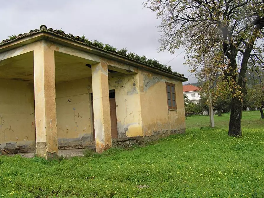 Immagine 6 di Terreno agricolo in vendita  in Via Monsignor Azio Davoli 11 a Lamezia Terme