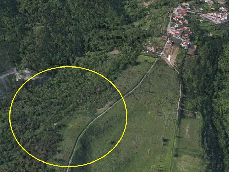 Immagine 5 di Terreno agricolo in vendita  in Via Pietro Nenni a Lamezia Terme