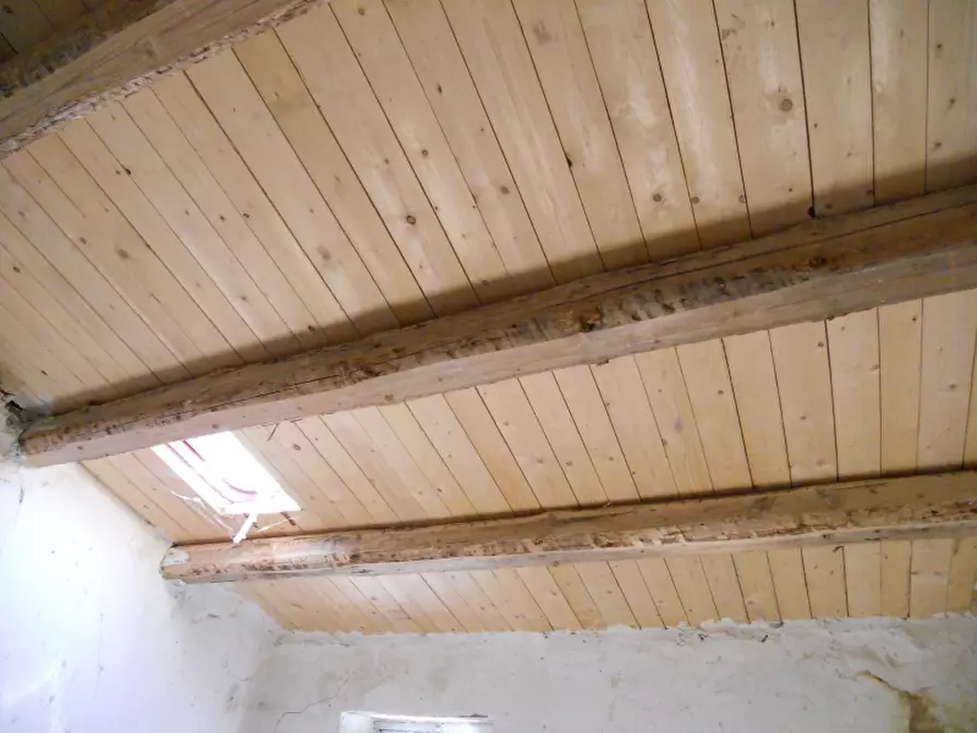 Immagine 5 di Porzione di casa in vendita  a Montagano