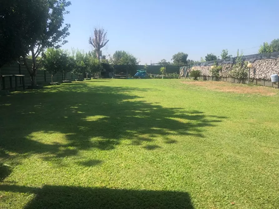 Immagine 5 di Terreno agricolo in vendita  in VIA APPIA a Teverola