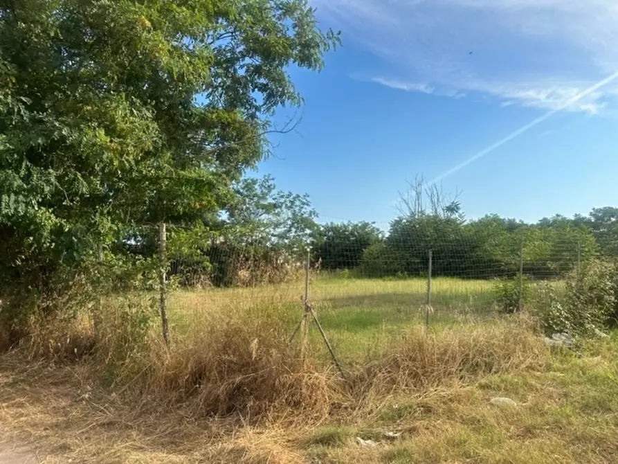 Immagine 2 di Terreno industriale in vendita  in VIALE DELLA LIBERTà a Frignano