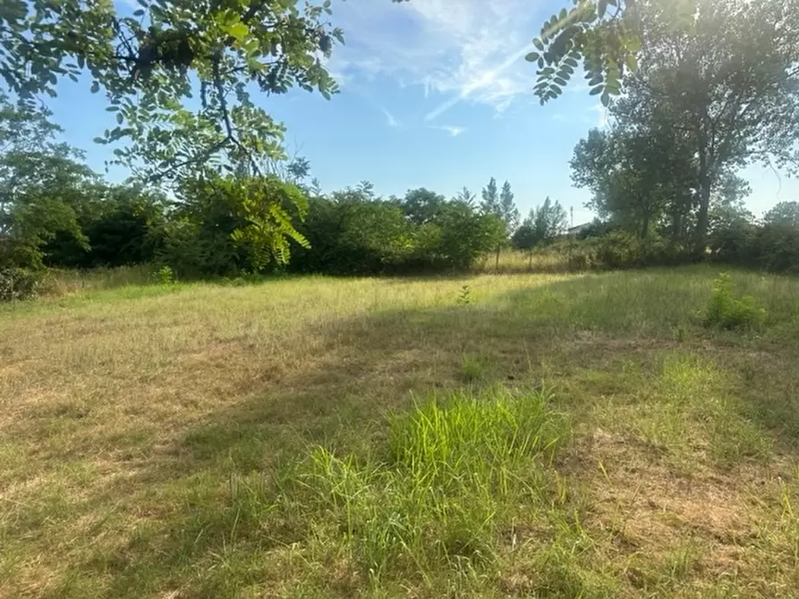 Immagine 3 di Terreno industriale in vendita  in VIALE DELLA LIBERTà a Frignano