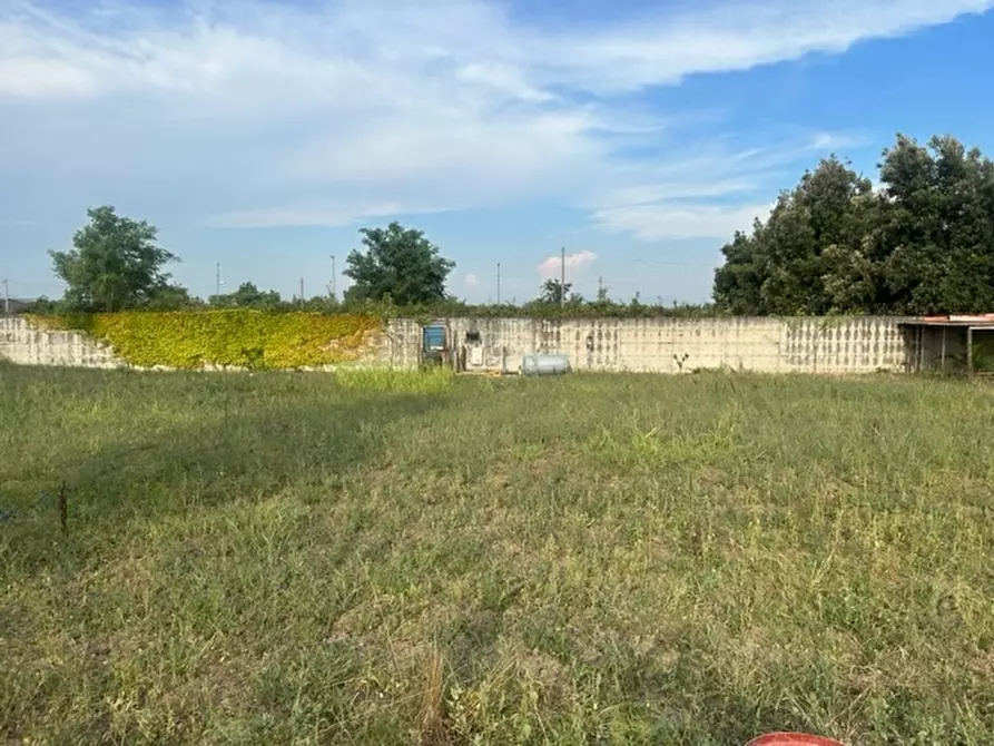 Immagine 5 di Terreno industriale in vendita  in VIA CUPA CROCIFISSO a Villa Di Briano