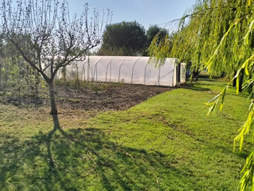 Immagine 5 di Terreno agricolo in vendita  a Carpi