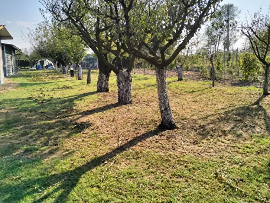 Immagine 9 di Terreno agricolo in vendita  a Carpi