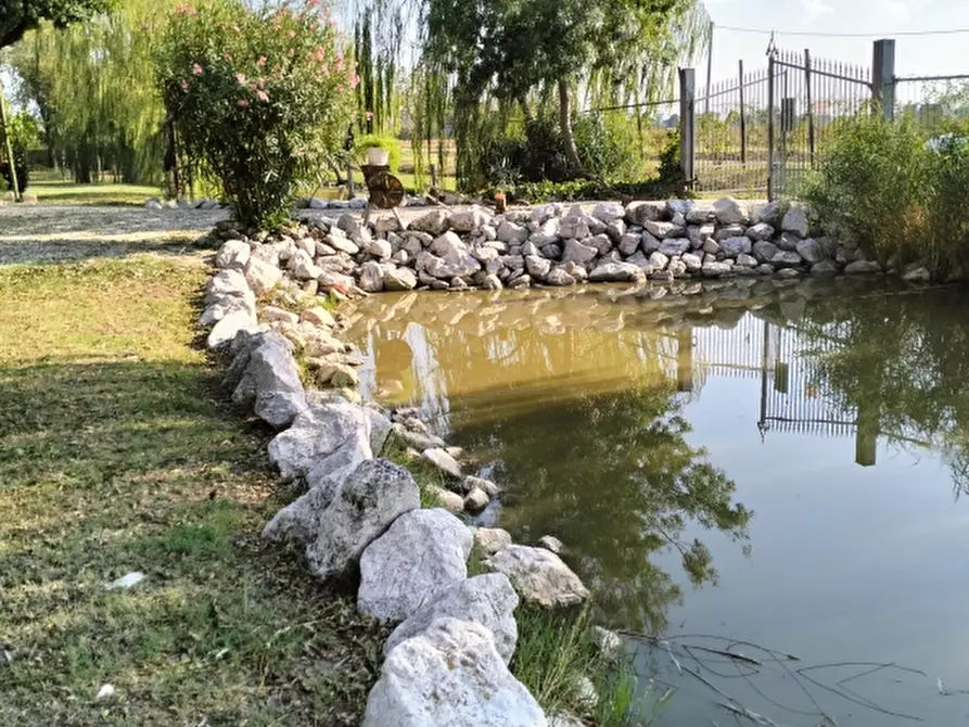 Immagine 8 di Terreno agricolo in vendita  a Carpi