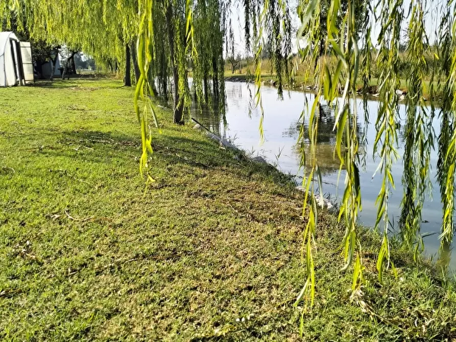 Immagine 2 di Terreno agricolo in vendita  a Carpi