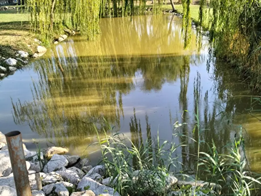 Immagine 3 di Terreno agricolo in vendita  a Carpi