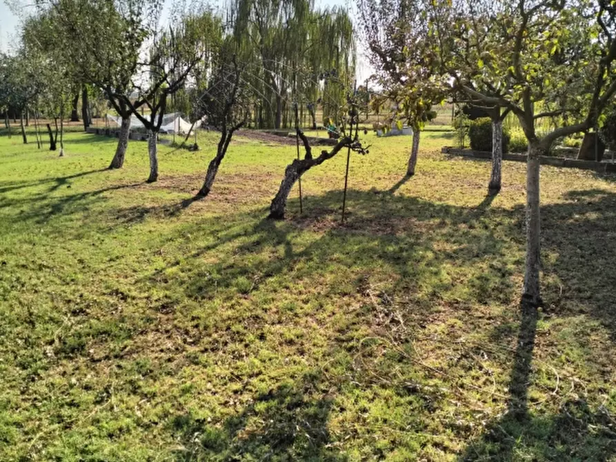 Immagine 4 di Terreno agricolo in vendita  a Carpi