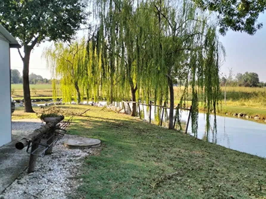 Immagine 1 di Terreno agricolo in vendita  a Carpi