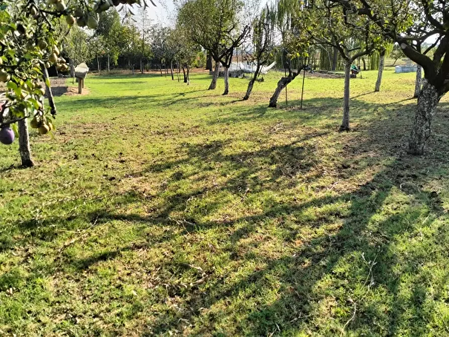 Immagine 6 di Terreno agricolo in vendita  a Carpi