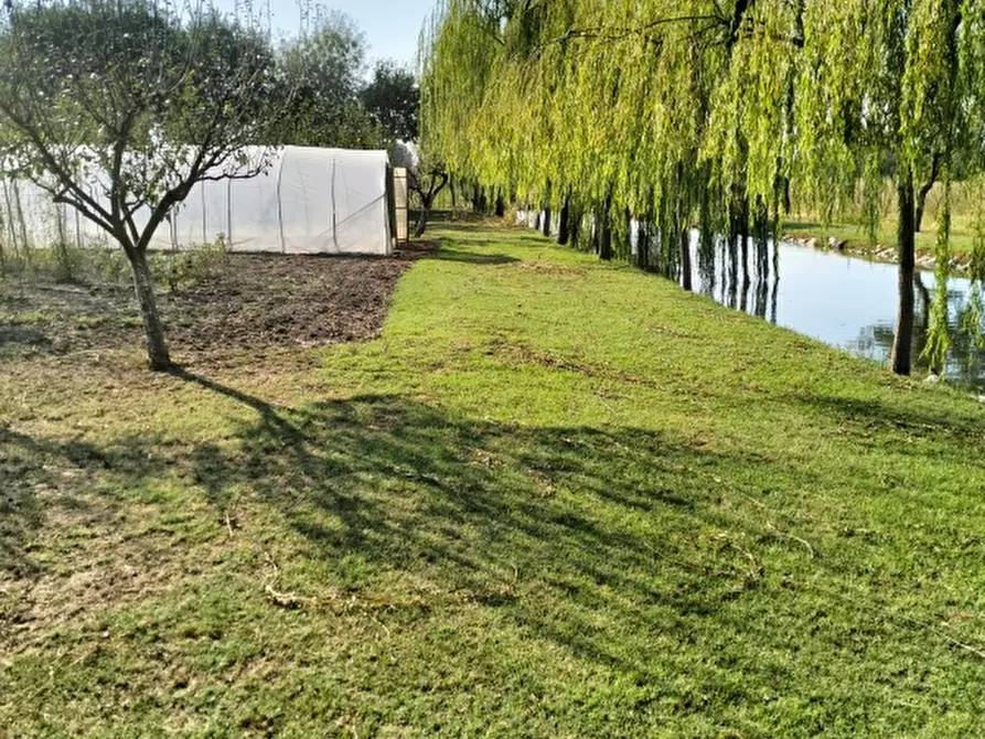 Immagine 7 di Terreno agricolo in vendita  a Carpi