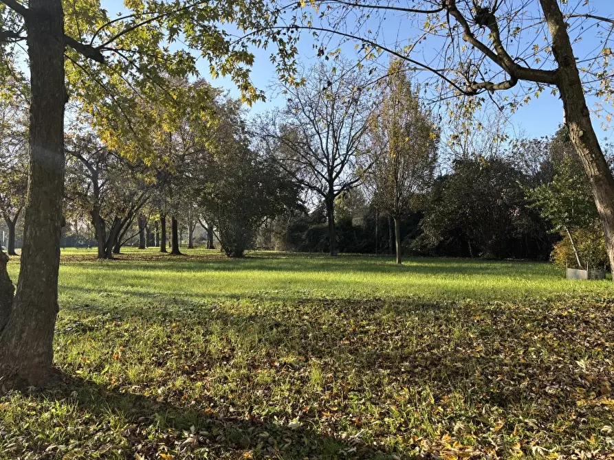 Immagine 22 di Appartamento in vendita  a Carpi