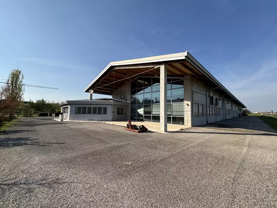 Immagine 36 di Villa in vendita  a Carpi