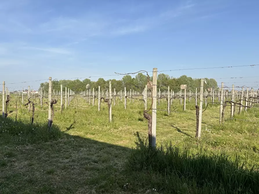 Immagine 35 di Villa in vendita  a Carpi